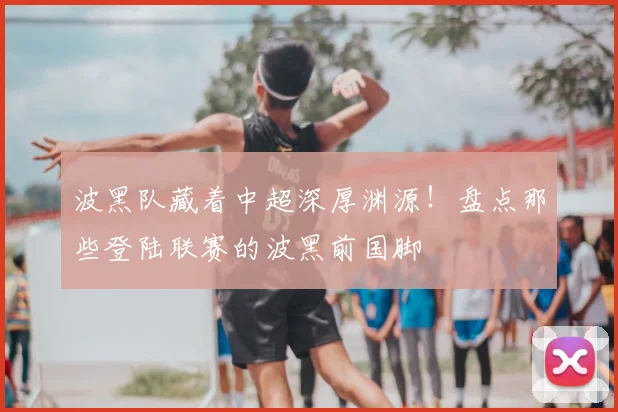 波黑队藏着中超深厚渊源！盘点那些登陆联赛的波黑前国脚