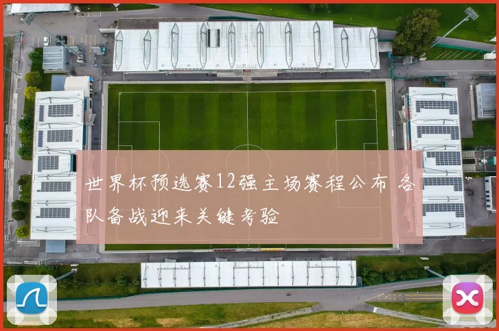 世界杯预选赛12强主场赛程公布 各队备战迎来关键考验