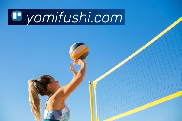 bsports官网登录入口服务体系